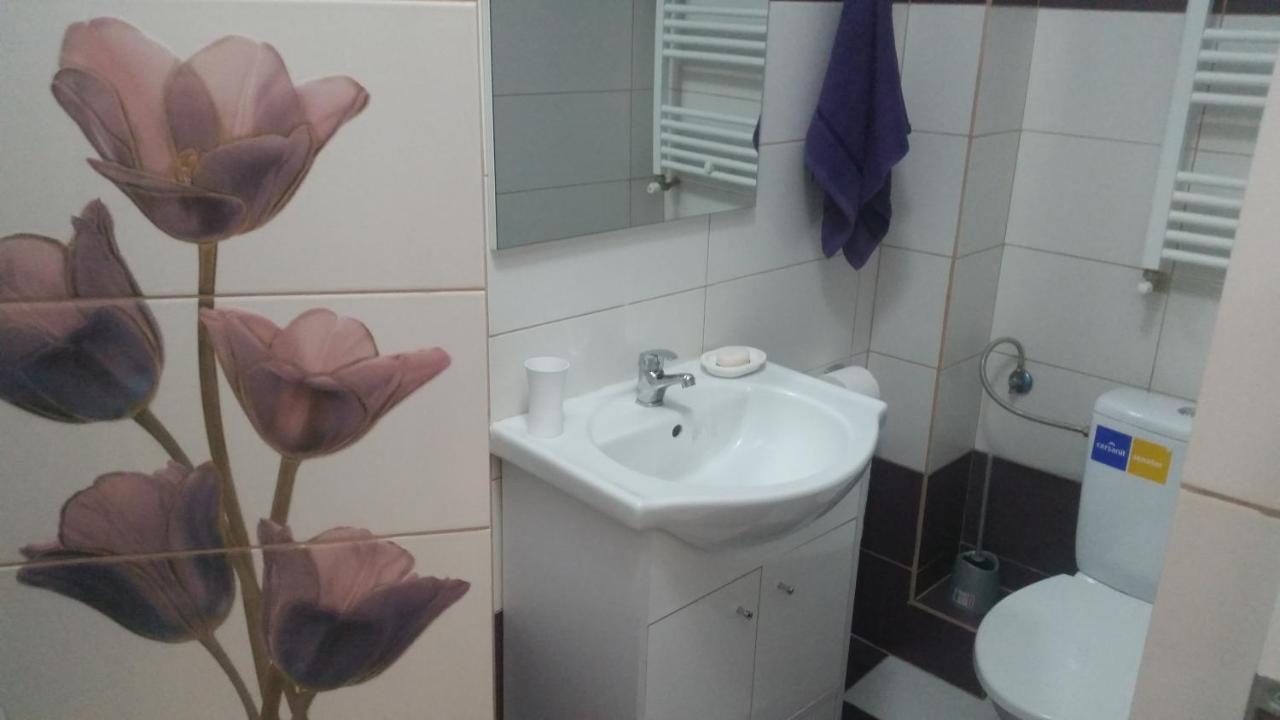 Grozavesti Apartment Near Politehnic Park Βουκουρέστι Εξωτερικό φωτογραφία
